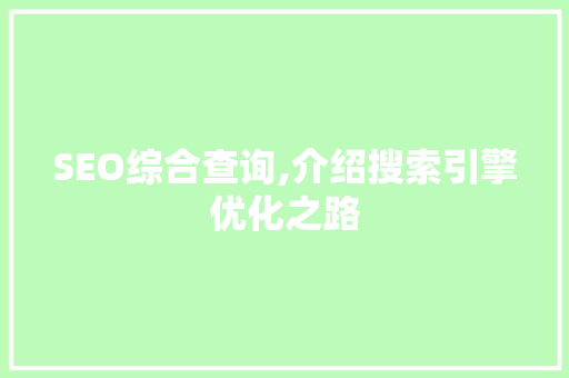 SEO综合查询,介绍搜索引擎优化之路