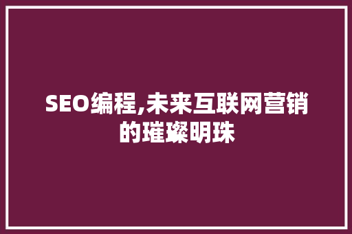 SEO编程,未来互联网营销的璀璨明珠