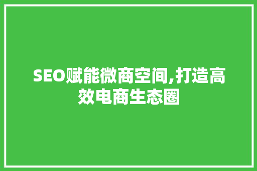 SEO赋能微商空间,打造高效电商生态圈