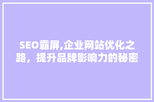 SEO霸屏,企业网站优化之路，提升品牌影响力的秘密武器