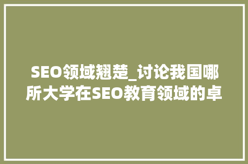 SEO领域翘楚_讨论我国哪所大学在SEO教育领域的卓越表现