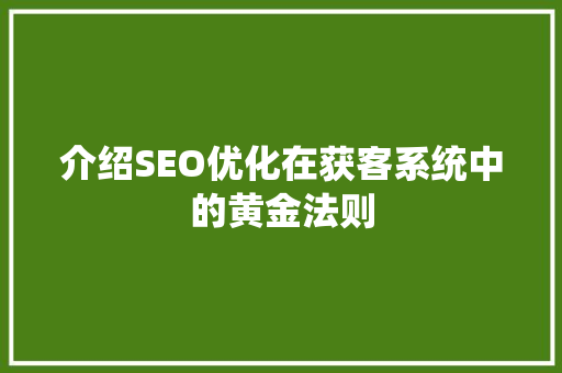 介绍SEO优化在获客系统中的黄金法则
