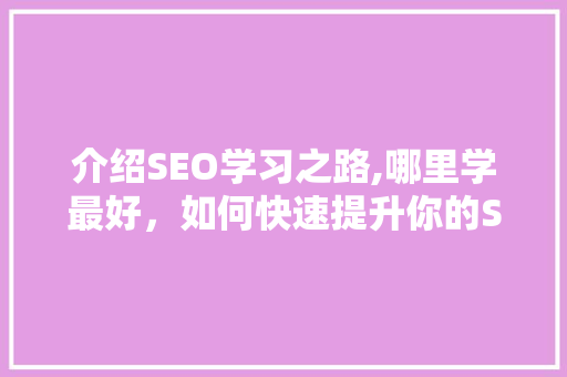 介绍SEO学习之路,哪里学最好，如何快速提升你的SEO技能