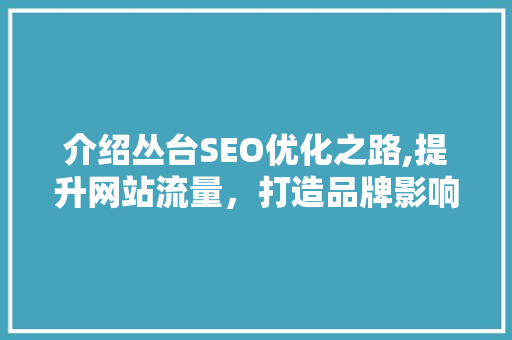 介绍丛台SEO优化之路,提升网站流量，打造品牌影响力