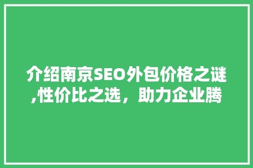 介绍南京SEO外包价格之谜,性价比之选，助力企业腾飞  第1张