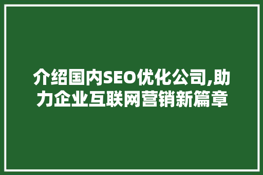 介绍国内SEO优化公司,助力企业互联网营销新篇章