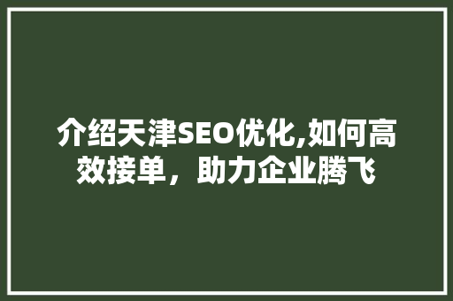 介绍天津SEO优化,如何高效接单，助力企业腾飞