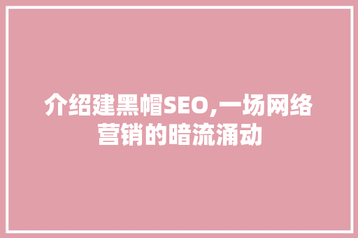 介绍建黑帽SEO,一场网络营销的暗流涌动  第1张
