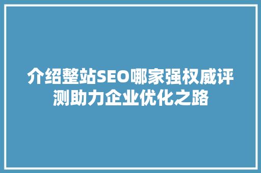 介绍整站SEO哪家强权威评测助力企业优化之路