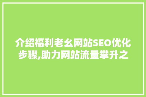 介绍福利老幺网站SEO优化步骤,助力网站流量攀升之路