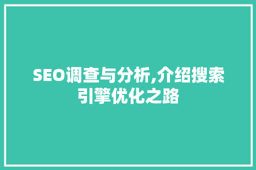 SEO调查与分析,介绍搜索引擎优化之路