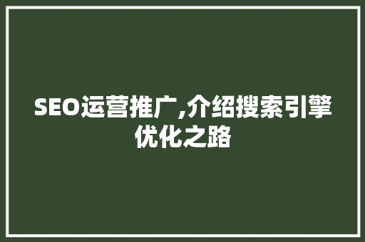 SEO运营推广,介绍搜索引擎优化之路