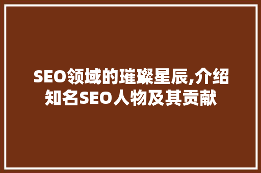 SEO领域的璀璨星辰,介绍知名SEO人物及其贡献
