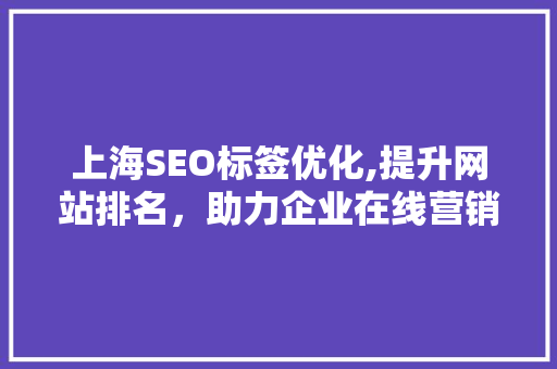 上海SEO标签优化,提升网站排名，助力企业在线营销