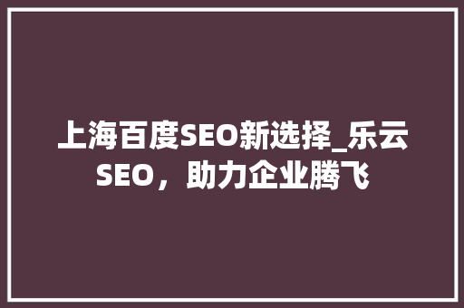 上海百度SEO新选择_乐云SEO，助力企业腾飞