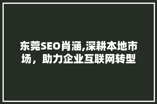 东莞SEO肖涵,深耕本地市场，助力企业互联网转型