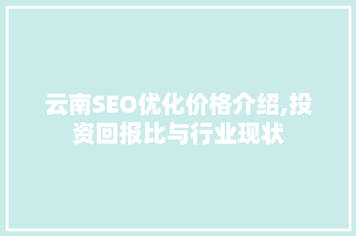 云南SEO优化价格介绍,投资回报比与行业现状