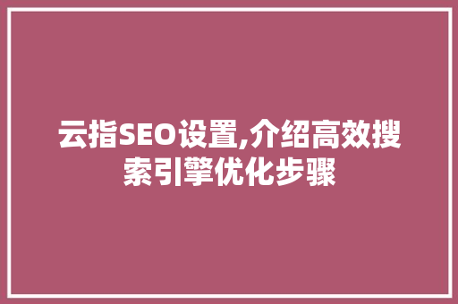 云指SEO设置,介绍高效搜索引擎优化步骤