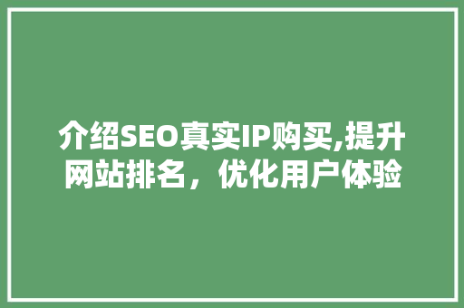 介绍SEO真实IP购买,提升网站排名，优化用户体验