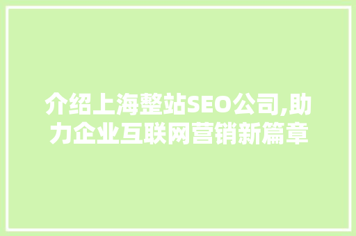 介绍上海整站SEO公司,助力企业互联网营销新篇章