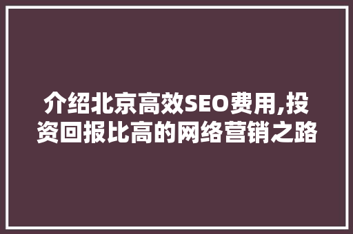 介绍北京高效SEO费用,投资回报比高的网络营销之路