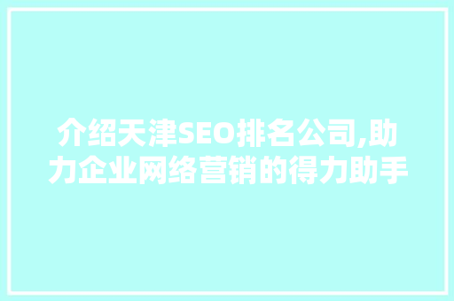 介绍天津SEO排名公司,助力企业网络营销的得力助手