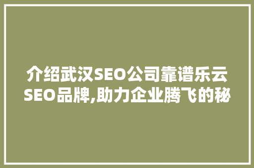 介绍武汉SEO公司靠谱乐云SEO品牌,助力企业腾飞的秘密武器