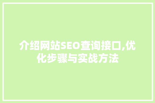 介绍网站SEO查询接口,优化步骤与实战方法