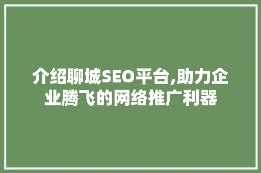 介绍聊城SEO平台,助力企业腾飞的网络推广利器