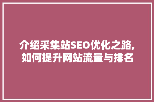 介绍采集站SEO优化之路,如何提升网站流量与排名