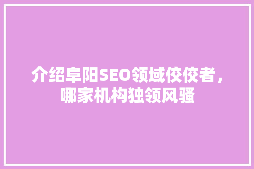 介绍阜阳SEO领域佼佼者，哪家机构独领风骚