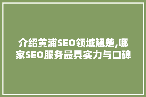 介绍黄浦SEO领域翘楚,哪家SEO服务最具实力与口碑  第1张