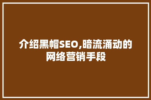 介绍黑帽SEO,暗流涌动的网络营销手段