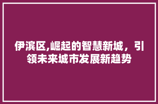 伊滨区,崛起的智慧新城，引领未来城市发展新趋势