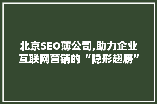 北京SEO薄公司,助力企业互联网营销的“隐形翅膀”
