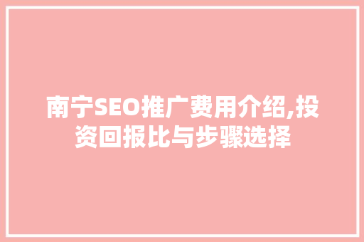 南宁SEO推广费用介绍,投资回报比与步骤选择