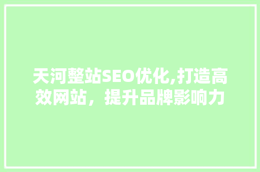 天河整站SEO优化,打造高效网站，提升品牌影响力