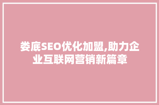 娄底SEO优化加盟,助力企业互联网营销新篇章