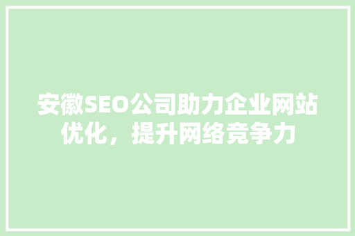 安徽SEO公司助力企业网站优化，提升网络竞争力