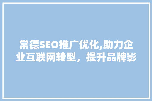常德SEO推广优化,助力企业互联网转型，提升品牌影响力