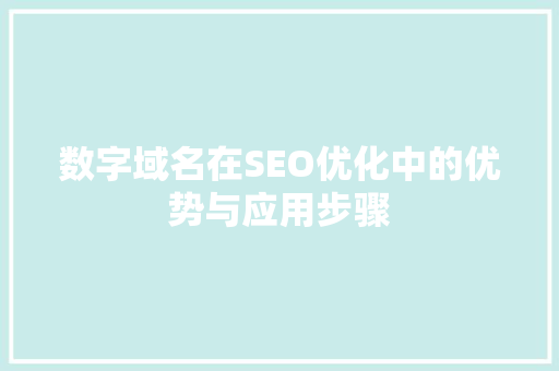 数字域名在SEO优化中的优势与应用步骤