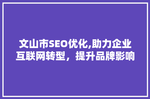 文山市SEO优化,助力企业互联网转型，提升品牌影响力