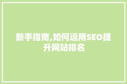 新手指南,如何运用SEO提升网站排名