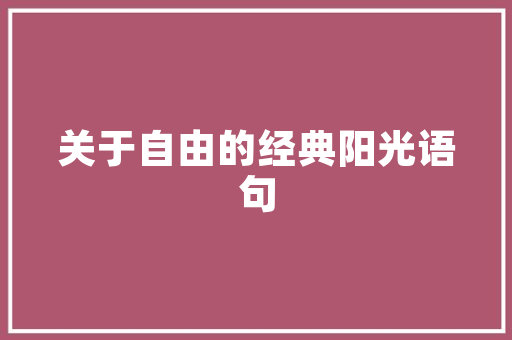 新网站SEO方法介绍,助力网站优化，提升搜索引擎排名