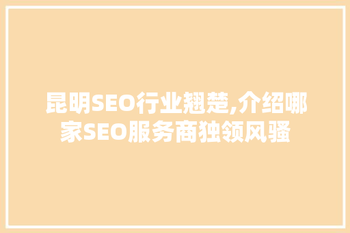 昆明SEO行业翘楚,介绍哪家SEO服务商独领风骚