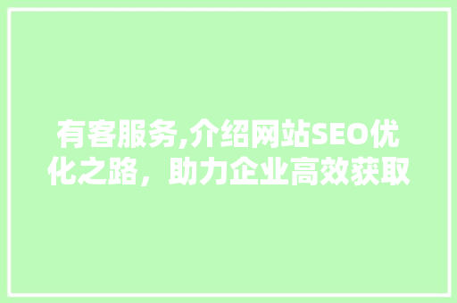 有客服务,介绍网站SEO优化之路，助力企业高效获取流量