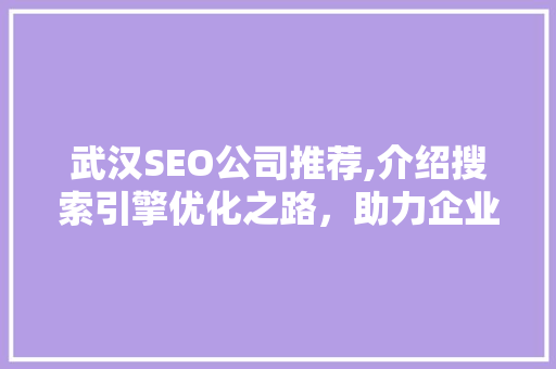 武汉SEO公司推荐,介绍搜索引擎优化之路，助力企业提升网络竞争力