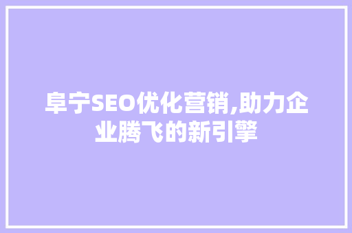 阜宁SEO优化营销,助力企业腾飞的新引擎