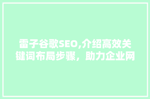 雷子谷歌SEO,介绍高效关键词布局步骤，助力企业网站优化  第1张