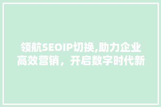 领航SEOIP切换,助力企业高效营销，开启数字时代新篇章